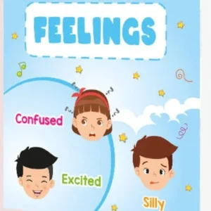 Feelings