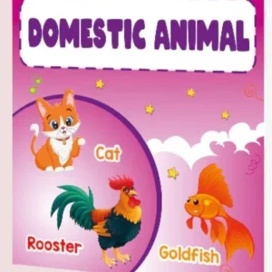 Domestic Animal